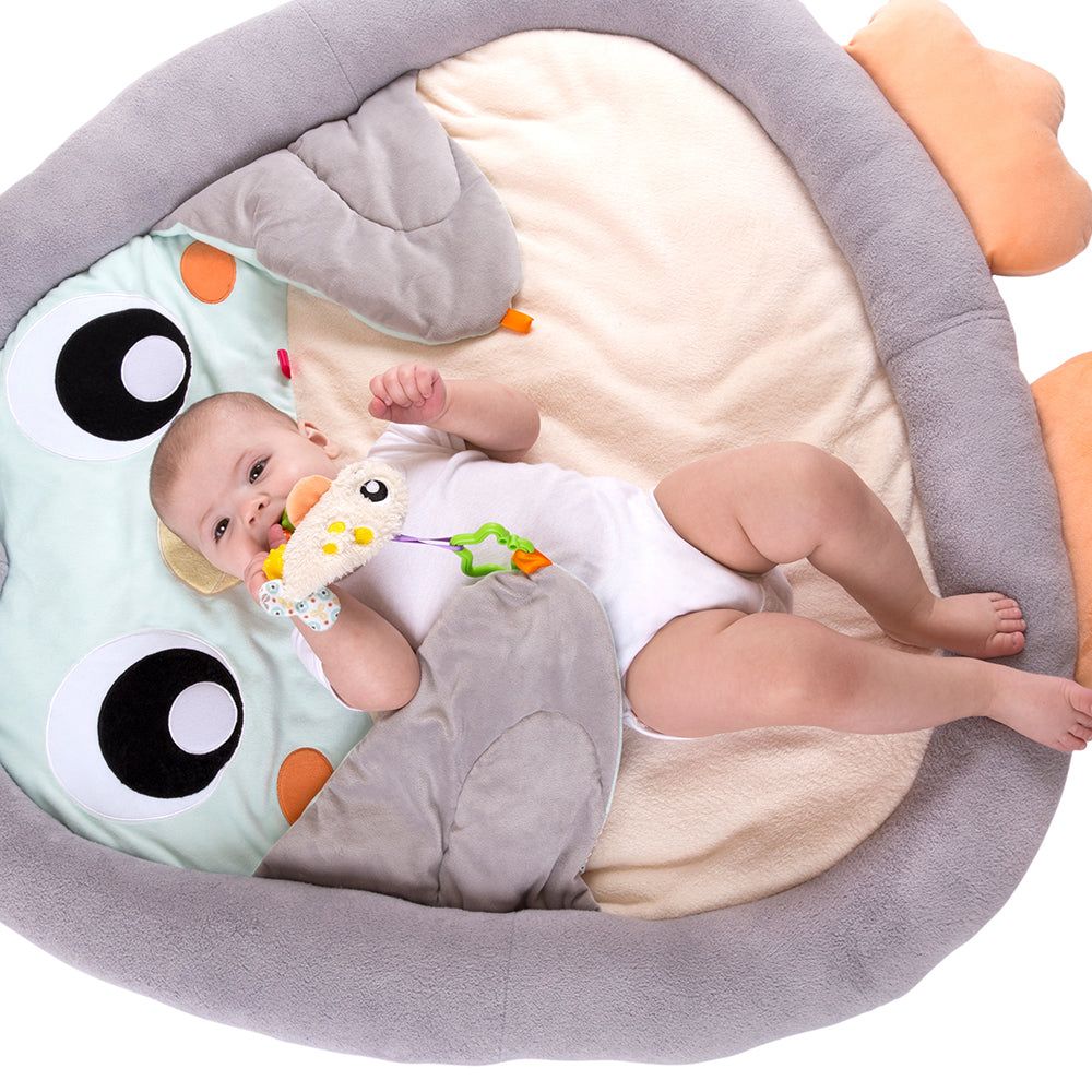 Gimnasio Acurrucame Pingüino Playgro