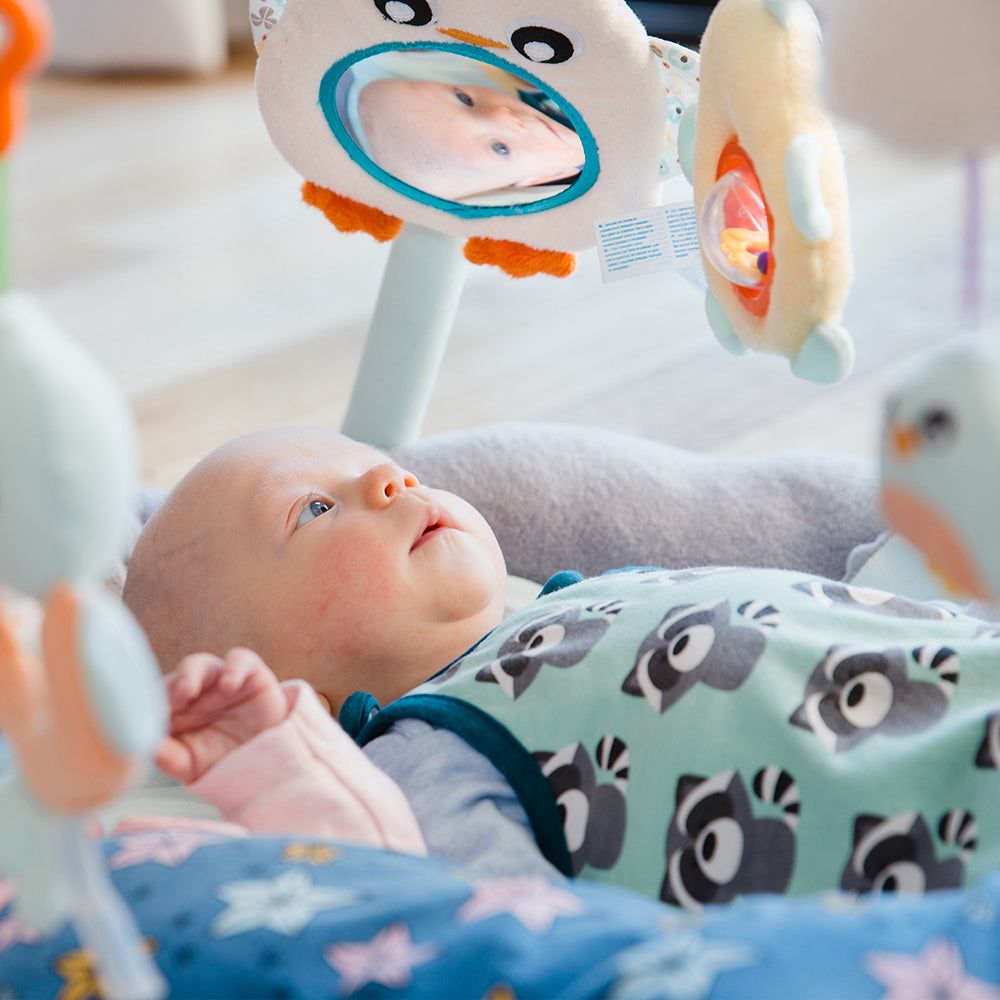 Gimnasio Acurrucame Pingüino Playgro