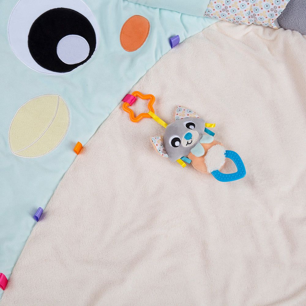 Gimnasio Acurrucame Pingüino Playgro