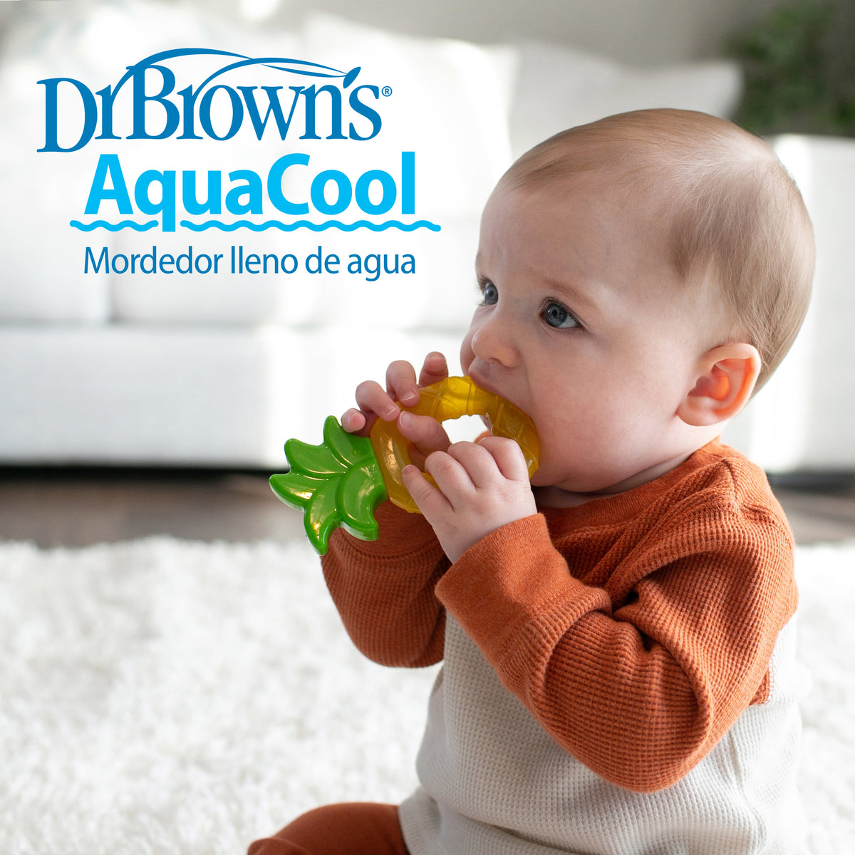 Mordedor De Agua 3m+ 1 Piña Y 1 Manzana Dr. Brown's