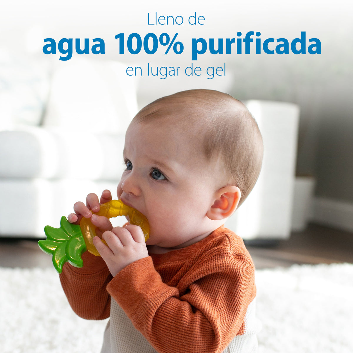 Mordedor De Agua 3m+ 1 Piña Y 1 Manzana Dr. Brown's
