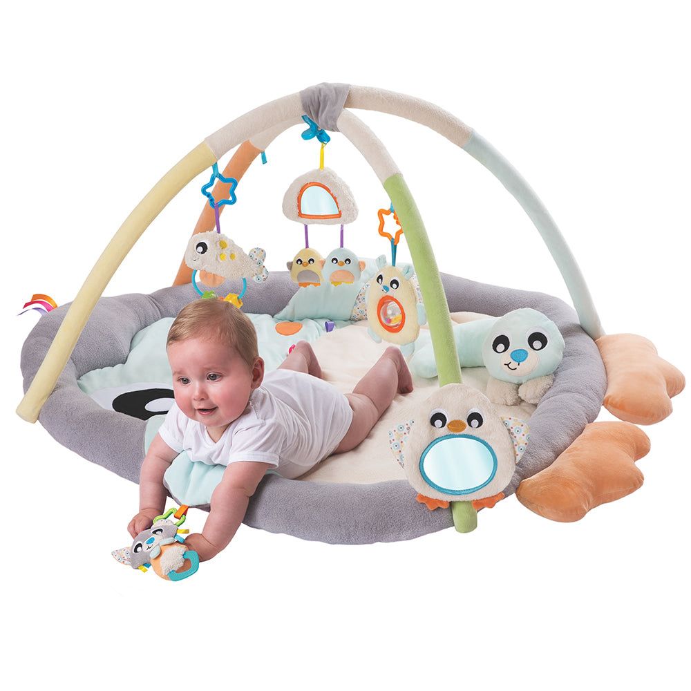 Gimnasio Acurrucame Pingüino Playgro