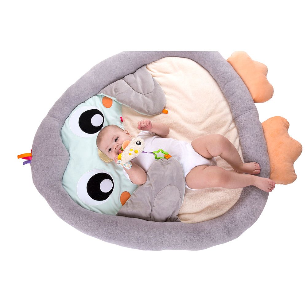 Gimnasio Acurrucame Pingüino Playgro