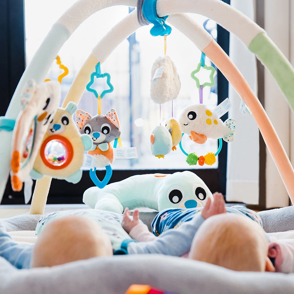 Gimnasio Acurrucame Pingüino Playgro